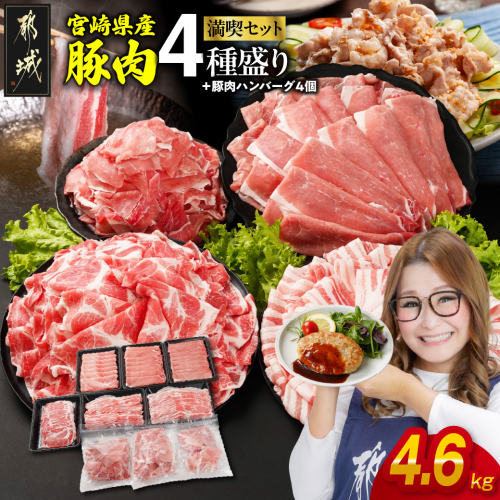 宮崎県産豚肉たっぷり5.1kgセット_AC-N202-CF 2069683 - 宮崎県都城市