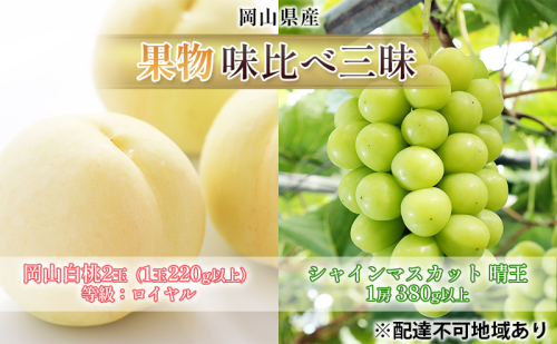 桃 ぶどう 2025年 先行予約 果物 味比べ三昧 岡山 白桃 2玉 等級：ロイヤル（1玉220g以上） シャイン マスカット 晴王 1房 380g以上 詰合せ もも 葡萄 岡山県産 国産 フルーツ 果物 ギフト 食べ比べ 2070615 - 岡山県高梁市