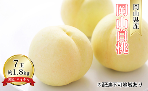 桃 2025年 先行予約 岡山 白桃 7玉 約1.8kg 等級：ロイヤル（1玉 260g以上） もも モモ 岡山県産 国産 フルーツ 果物 ギフト デザート 岡山の桃 2070616 - 岡山県高梁市