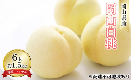 桃 2025年 先行予約 岡山 白桃 6玉 約1.5kg 等級：ロイヤル（1玉 240g以上） もも モモ 岡山県産 国産 フルーツ 果物 ギフト デザート 岡山の桃 2070618 - 岡山県高梁市