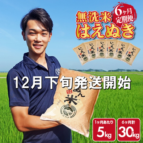 SI0045　12月下旬発送開始／【6回定期便】令和7年産 無洗米はえぬき　5kg×6回(計30kg)　農家直送『いいあん米』AG 2071062 - 山形県酒田市