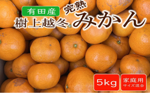 【濃厚・まろやか】有田産樹上越冬完熟みかん約5kg（ご家庭用）★2026年1月下旬頃より順次発送 2071097 - 和歌山県有田川町