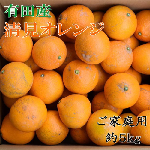 【濃厚】有田産清見オレンジ約5kg（サイズおまかせまたは混合）ご家庭用 ※2026年2月中旬～3月下旬頃に順次発送予定 2071766 - 和歌山県美浜町