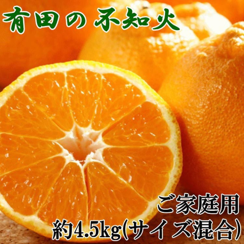 【濃厚】有田の不知火約4.5kgご家庭用向け（サイズ混合） ※2026年2月中旬～3月下旬頃に順次発送予定 2071767 - 和歌山県美浜町