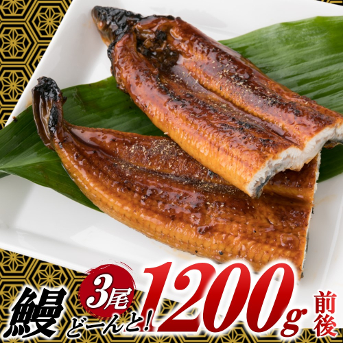 AB431.うなぎの蒲焼３尾（計１，２００ｇ前後）『１～２ヶ月前後でお届け！！』 2071853 - 福岡県新宮町