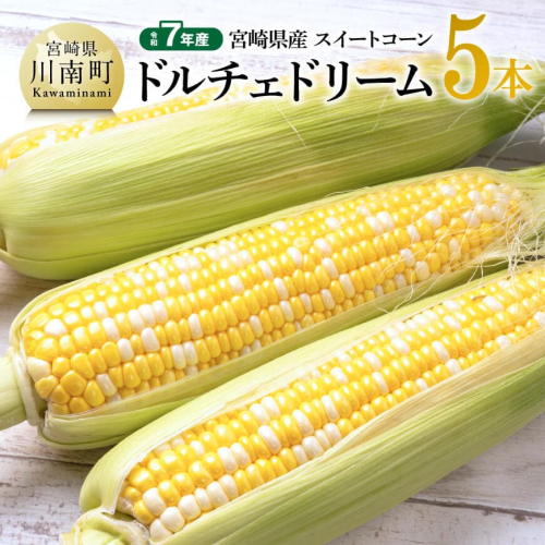 【令和7年産】宮崎県産とうもろこし　スィートコーン「ドルチェドリーム」5本 【 とうもろこし スイートコーン コーン 野菜 】 2072074 - 宮崎県川南町
