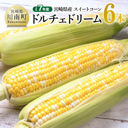 【令和7年産】宮崎県産とうもろこし　スィートコーン「ドルチェドリーム」6本 【 とうもろこし スイートコーン コーン 野菜 】 2072075 - 宮崎県川南町