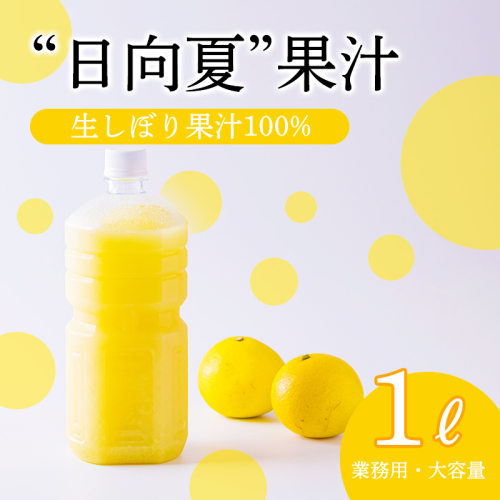 宮崎県の特産柑橘 日向夏の手搾り果汁1L(業務用) [保存料不使用12000円 ワンストップオンライン] TF0820-P00074 2072727 - 宮崎県高原町