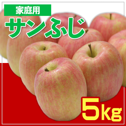【家庭用】☆フルーツ王国山形☆ りんご (サンふじ) 5kg FY25-058 2072865 - 山形県山形市