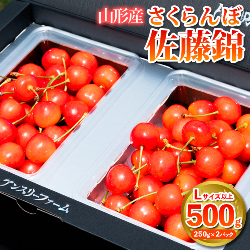 さくらんぼ 「佐藤錦」500g Lサイズ以上 山形産 FY25-027 2072943 - 山形県山形市