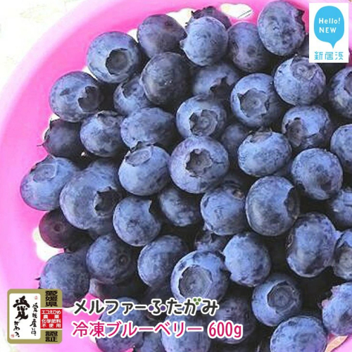 【先行予約】完熟ブルーベリー600g（冷凍）毎年人気の冷凍ブルーベリーです メルファーふたがみ 2073023 - 愛媛県新居浜市