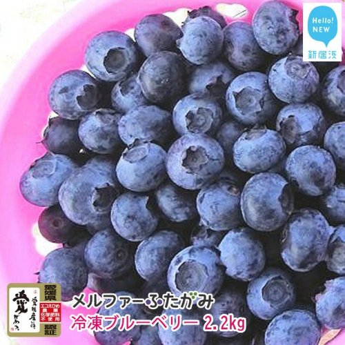 【先行予約】完熟ブルーベリー2.2kg（冷凍） 毎年人気の冷凍ブルーベリーです メルファーふたがみ 2073025 - 愛媛県新居浜市