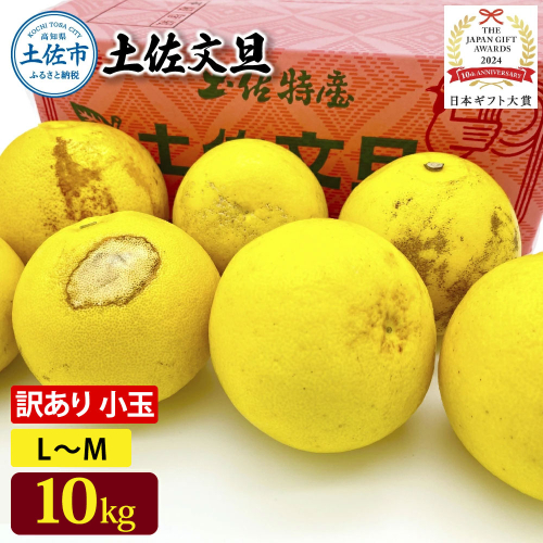 日本ギフト大賞受賞 園主こだわり土佐文旦 訳あり 小玉（L～M）10kg 10キロ 文旦 土佐文旦 ワケアリ ぶんたん ぼんたん フルーツ 果物 柑橘 みかん 蜜柑 家庭用 自宅用 高知 土佐 国産 常温 2073071 - 高知県土佐市