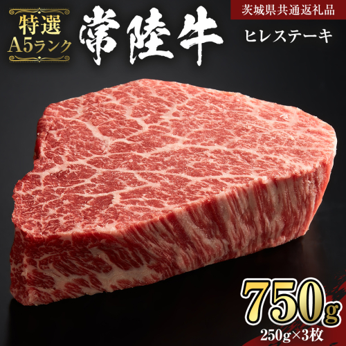 【 常陸牛 特選 A5 】 ヒレ ステーキ 250g × 3枚 (合計 750g )（茨城県共通返礼品）茨城県産 牛ヒレ肉 牛肉 ヒレ 牛ヒレ ステーキ 常陸牛 藤井商店 [CD072sa] 2073096 - 茨城県桜川市