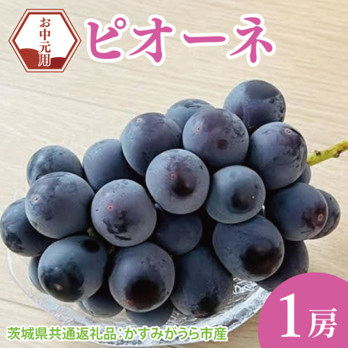 【先行予約】【お中元】ピオーネ1房（茨城県共通返礼品：かすみがうら市）（CD179） 2073130 - 茨城県大子町