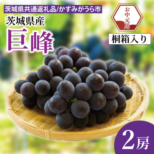 【先行予約】【お中元】巨峰 桐箱入り 2房（茨城県共通返礼品：かすみがうら市）（CD182） 2073241 - 茨城県大子町