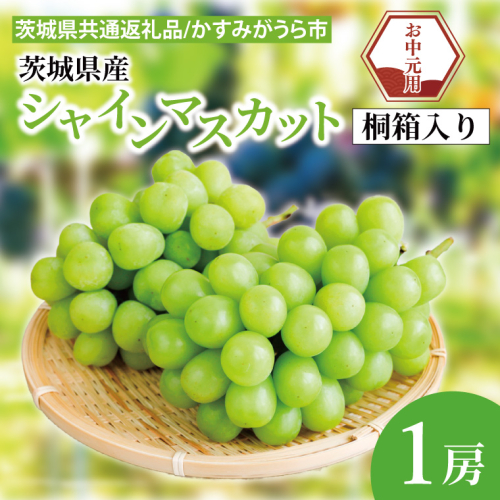 【先行予約】【お中元】シャインマスカット 桐箱入り 1房（茨城県共通返礼品：かすみがうら市）（CD183） 2073246 - 茨城県大子町