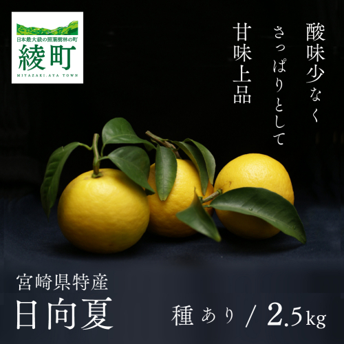 【先行受付】初春の旬「日向夏」種あり2.5kg 207335 - 宮崎県綾町