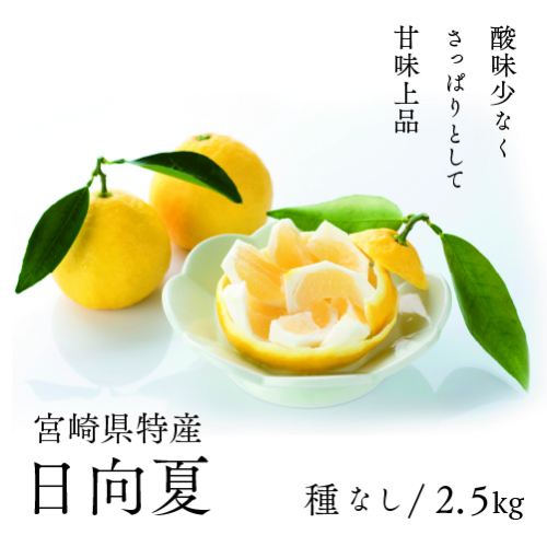 初春の旬「日向夏」種なし 2.5kg 207336 - 宮崎県綾町