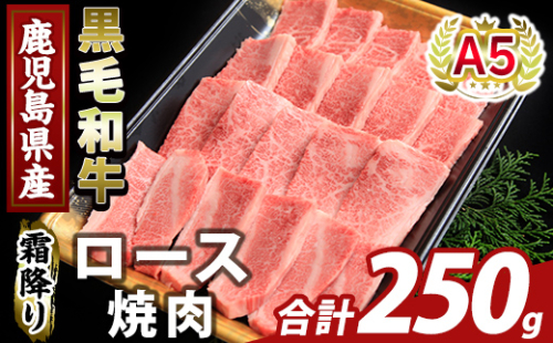 K-482-A 鹿児島県産A5等級黒毛和牛霜降り上ロース焼肉(計250g)【KNOT】霧島市 牛肉 国産 鹿児島県産 ロース 焼肉 肉 精肉 2073414 - 鹿児島県霧島市
