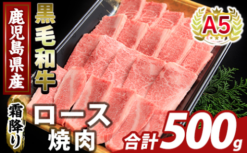 K-482-B 鹿児島県産A5等級黒毛和牛霜降り上ロース焼肉(計500g)【KNOT】霧島市 牛肉 国産 鹿児島県産 ロース 焼肉 肉 精肉 2073416 - 鹿児島県霧島市