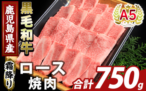 K-482-C 鹿児島県産A5等級黒毛和牛霜降り上ロース焼肉(計750g)【KNOT】霧島市 牛肉 国産 鹿児島県産 ロース 焼肉 肉 精肉 2073418 - 鹿児島県霧島市