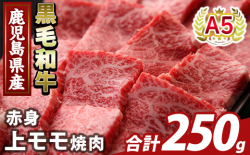 K-483-A 鹿児島県産A5等級黒毛和牛赤身上モモ焼肉(計250g)【ふるさと産直バザール】霧島市 牛肉 国産 鹿児島県産 モモ 焼肉 肉 精肉 2073419 - 鹿児島県霧島市