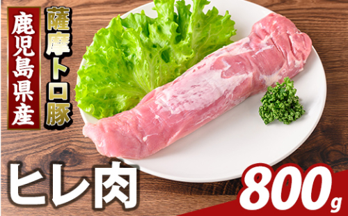 K-486-C 鹿児島県産 薩摩トロ豚 ヒレ肉(計800g)【KNOT】霧島市 ヒレ肉 国産 鹿児島県産 肉 精肉 2073501 - 鹿児島県霧島市