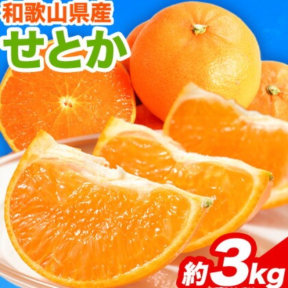 【先行予約】 とろける食感!ジューシー柑橘 せとか 約3kg 株式会社魚鶴《2026年2月下旬-3月下旬頃出荷》 和歌山県 日高川町 みかん 柑橘 果物 フルーツ 送料無料 2073571 - 和歌山県日高川町