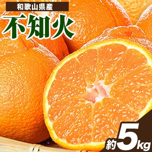 【先行予約】紀州有田産不知火( デコポン と同品種 ) 約 5kg 株式会社魚鶴《2026年2月中旬-3月中旬頃出荷》 和歌山県 日高川町 不知火 しらぬい 柑橘 ご家庭用 デコポン でこぽん しらぬい 訳ありデコポン 2073573 - 和歌山県日高川町