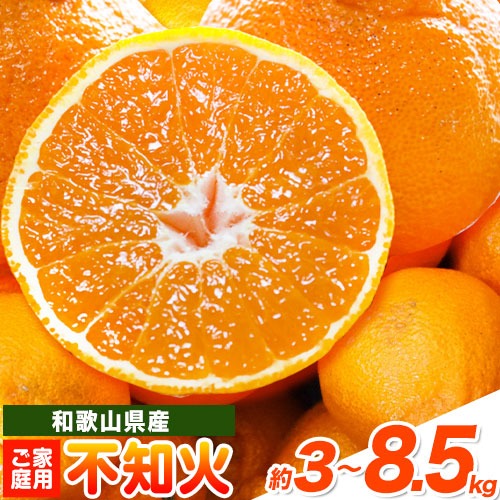 【先行予約】【ご家庭用】紀州有田産 不知火 ( しらぬひ ) 選べる内容量 約3kg 約6kg 約8.5kg 株式会社魚鶴 《2月中旬-3月中旬頃出荷》 和歌山県 日高川町 不知火 みかん 柑橘 果物 フルーツ デコポン と同品種 でこぽん 訳あり不知火 訳ありデコポン 訳あり 2073574 - 和歌山県日高川町