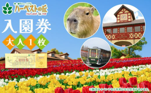 ハーベストの丘入園券　大人 2074123 - 大阪府堺市