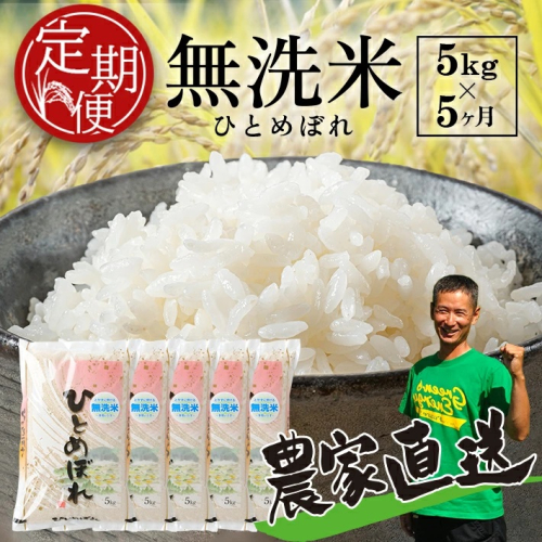 SI0046　【5回定期便】令和7年産 無洗米 ひとめぼれ　5kg×5回(計25kg)　農家直送・鳥海山麓やわたの米 TR 207461 - 山形県酒田市