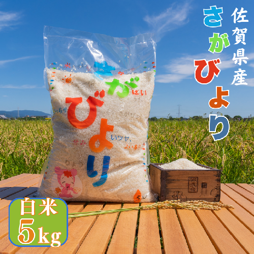 【数量限定】令和6年産 佐賀県産さがびより白米5kg：B170-023 2077440 - 佐賀県佐賀市