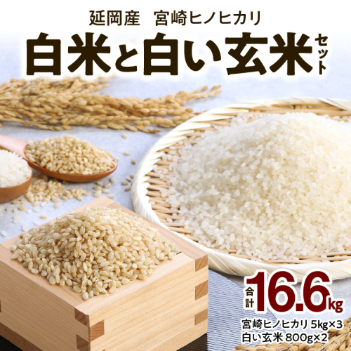 宮崎ヒノヒカリ延岡産白米と白い玄米セット合計16.6kg N0149-YD0231 207746 - 宮崎県延岡市