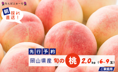【2025年先行予約】［なんばふぁーむ］岡山県産 旬の桃 2.0kg（6～9玉）［ご家庭用］ 2077485 - 岡山県鏡野町