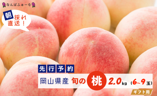 【2025年先行予約】［なんばふぁーむ］岡山県産 旬の桃 2.0kg（6～9玉）[ギフト用] 2077489 - 岡山県鏡野町