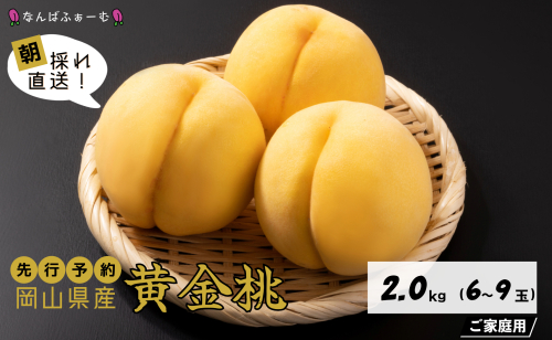 【2025年先行予約】［なんばふぁーむ］岡山県産 黄金桃 2.0kg（6～9玉）［ご家庭用］ 2078058 - 岡山県鏡野町