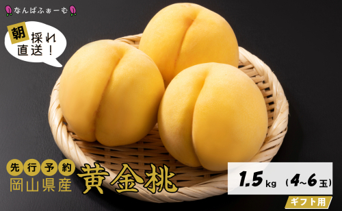 【2025年先行予約】［なんばふぁーむ］岡山県産 黄金桃 1.5kg（4～6玉）[ギフト用] 2078060 - 岡山県鏡野町