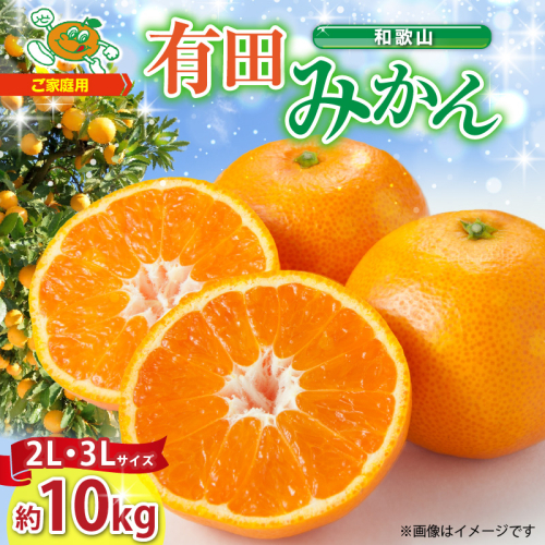 ZJ6079_【2025年先行予約】ご家庭用　和歌山 有田みかん 約10kg (2L、3Lサイズ)【湯浅町】 207845 - 和歌山県湯浅町