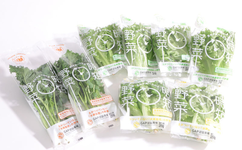 なばリーフ アソート セット フリルレタス 3p グリーンリーフレタス 2p ケール 2p【計7p入/ 時短 野菜 特殊フィルム包装】 2080139 - 三重県名張市