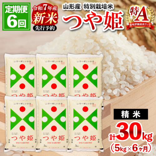 【定期便6回】 先行予約 令和7年産 新米 山形産 特別栽培米 つや姫 5kg×6ケ月(計30kg)【11月発送開始】 FZ25-088 2080200 - 山形県山形市