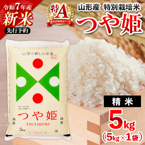 先行予約 令和7年産 新米 山形産 特別栽培米 つや姫(白米) 5kg【11月発送】 FZ25-080 2080203 - 山形県山形市