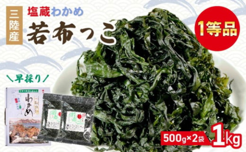 早採り 塩蔵わかめ 若布っこ 500g×2袋 海鮮 海藻 わかめ ワカメ 贈答品 贈答用 魚貝類 魚介類 みそ汁 スープ 酢の物 小分け 三陸産 岩手県 大船渡市