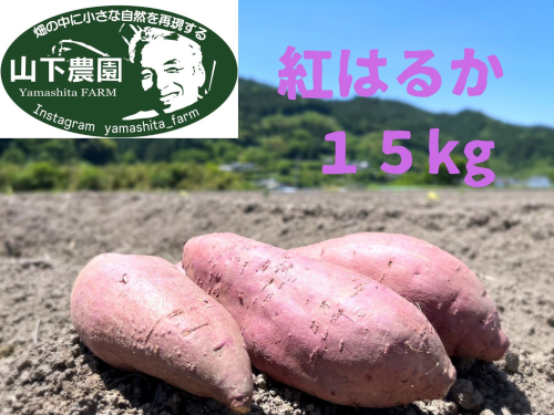 自然のままに。山下農園の超自然農法で育ったさつまいも(紅はるか)15kg 2081858 - 高知県本山町