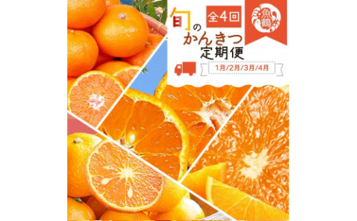 【1・2・3・4月 全4回 定期便】紀州和歌山産旬のご家庭用柑橘セット(みかん・不知火・せとか・清見)【UT130】 2082630 - 和歌山県那智勝浦町