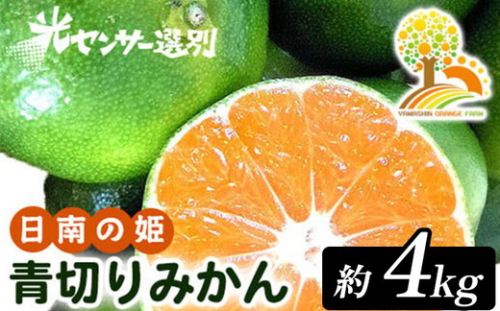 こだわりの青切りみかん 約4kg 農家直送 有機質肥料 100% サイズ混合 ｜ みかん 柑橘 果物 くだもの 果実 フルーツ 和歌山 有田 ※北海道・沖縄・離島への配送不可 ※2025年9月下旬～10月上旬頃に順次発送予定 2083324 - 和歌山県美浜町