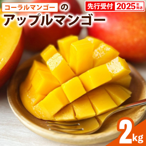 【先行受付】【2025年発送】コーラルマンゴーのアップルマンゴー [優品] 約2kg - 先行予約 沖縄マンゴー 産地直送 国産 旬の味覚 季節の果物 贈り物 ギフト 沖縄県 八重瀬町 2083326 - 沖縄県八重瀬町
