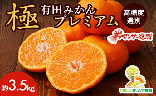 ＼光センサー選別／極 有田みかんプレミアム 約3.5kg【光センサー 高糖度選別品】2S～Mの小玉サイズ 有機質肥料100% | 光センサー選別 温州みかん みかん 高糖度 柑橘 果物 フルーツ 甘い ※2025年11月下旬～2026年1月上旬頃に順次発送予定 ※北海道・沖縄・離島への配送不可 2083327 - 和歌山県美浜町
