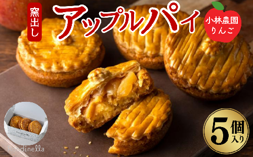 アップルパイ 【季節限定】小林農園りんごの窯出しアップルパイ5個入り お取り寄せ 絶品 焼菓子 ギフト 信州 長野 2084346 - 長野県長野市